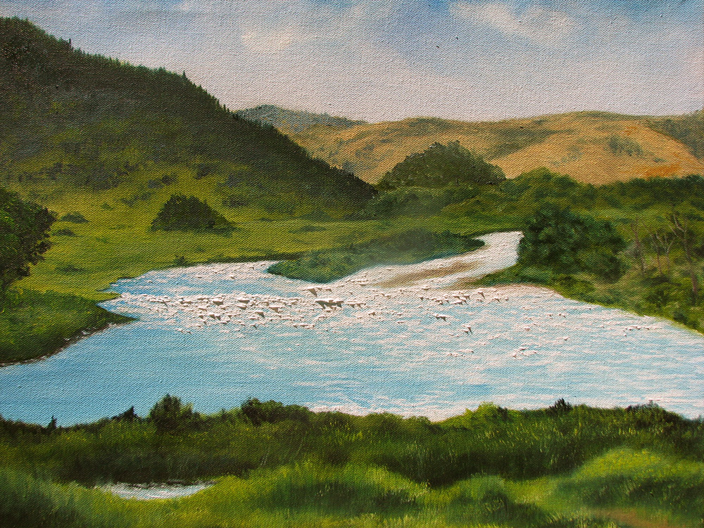 Entering Yellowstone National Park